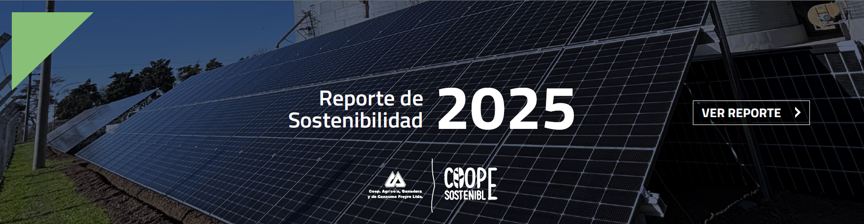 Banner reporte 2025